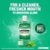 Listerine Fresh Burst Mouthwash 250ml Listerine Fresh Burst Mouthwash 250ml