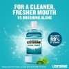Listerine Cool Mint Mouthwash 250ml Listerine Cool Mint Mouthwash 250ml