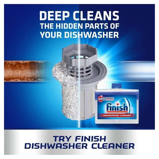 Finish Original Dishwasher Cleaner 250ml