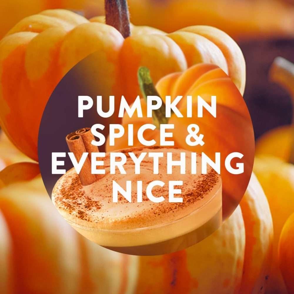 Air Wick Plug-In & Refill Pumpkin Spice 19ml Air Wick Plug-In & Refill Pumpkin Spice 19ml