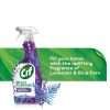 Cif Lavender & Blue Fern Multipurpose Cleaner Spray 750ml