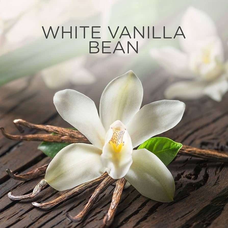 Air Wick Plug-In & Refill White Vanilla Bean 19ml