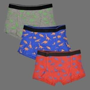 Thingimijigs Boys 3pk Trunks With Dinosaur Design