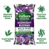 Zoflora Antibacterial Surface Wipes Midnight Bloom Zoflora Antibacterial Surface Wipes Midnight Bloom