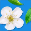 Flash Spray Wipe Done White Blossom 800ml
