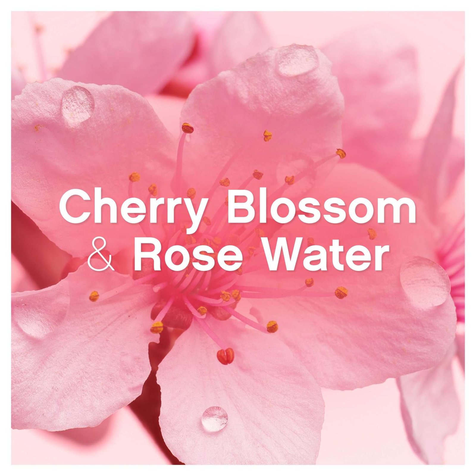 Lenor Cherry Blossom & Rose Water Fabric Conditioner 26 Washes 858ml
