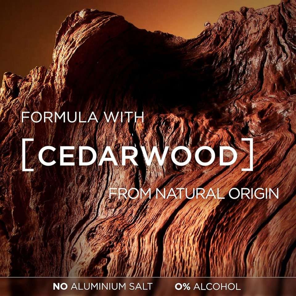 L’Oréal Men Expert Barber Club 48H Anti-Perspirant Roll-On 50ml