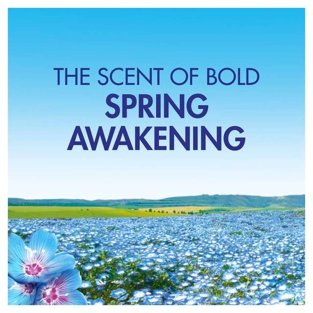 Bold Liquid Gel Spring Awakening 32 Washes 1056ml