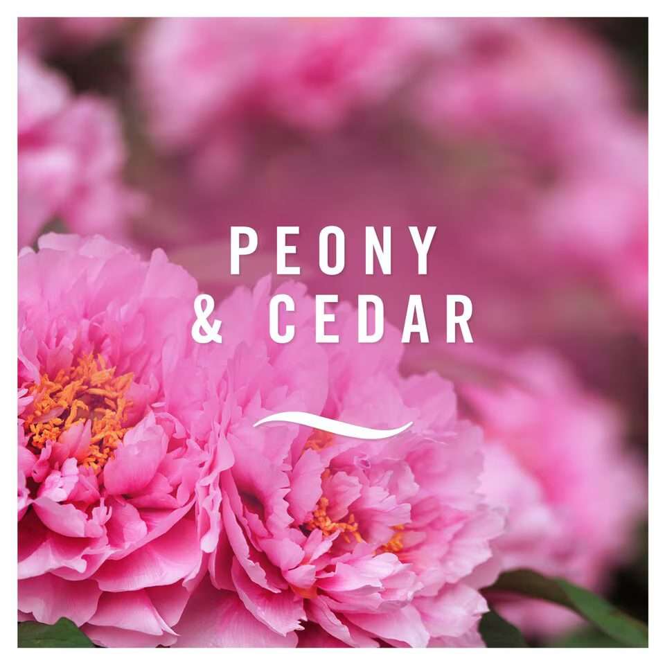 Febreze Air Freshener Peony & Cedar 7.5ml