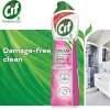 Cif Cream Multi-Purpose Cleaner Pink Tuberose 500ml Cif Cream Multi-Purpose Cleaner Pink Tuberose 500ml