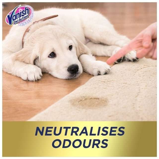 Vanish Carpet & Upholstery Foam Cleaner 600ml