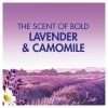 Bold All In One Lavender & Camomile Pods 13 Washes