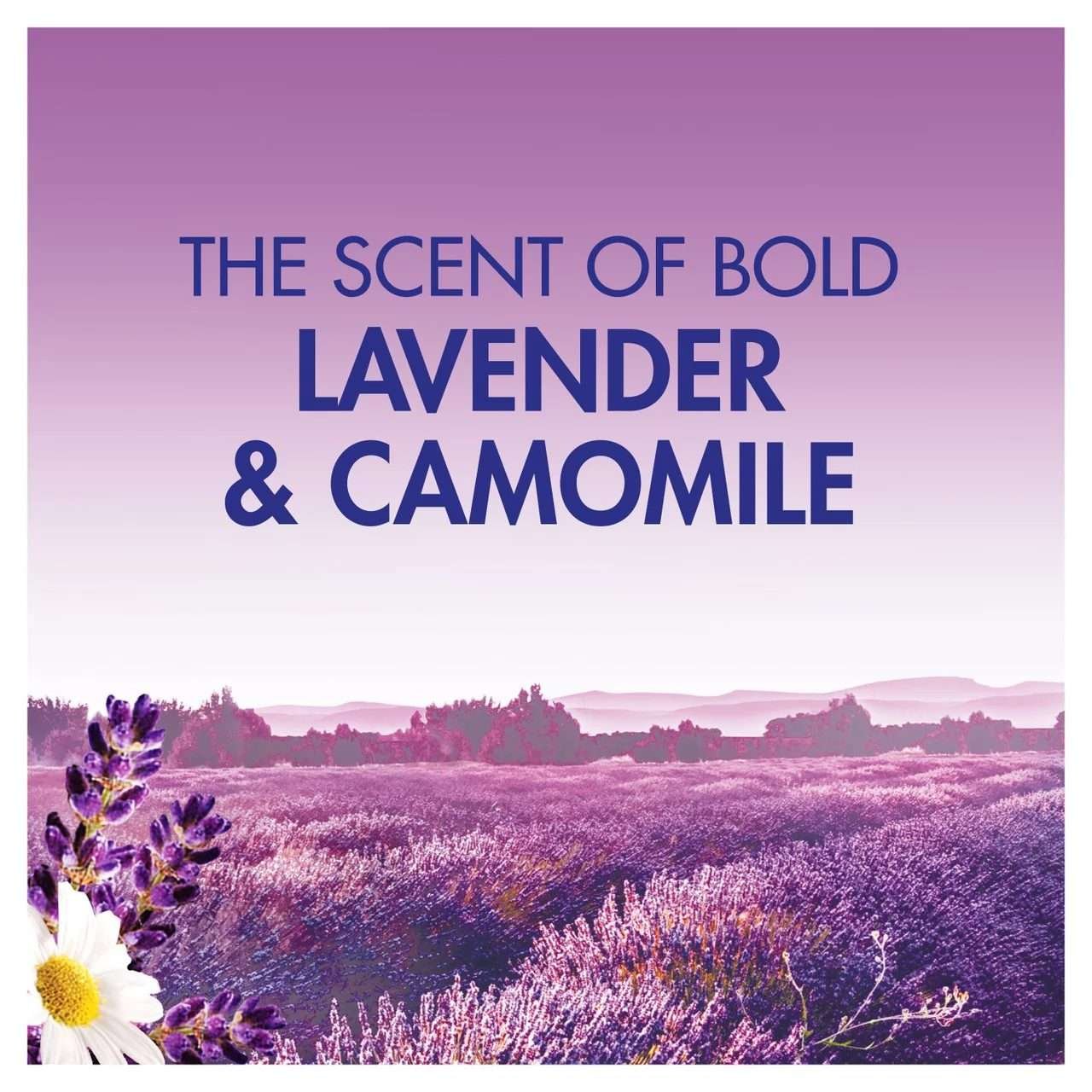 Bold All In One Lavender & Camomile Pods 13 Washes