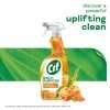 Cif Orange & Lemongrass Multipurpose Cleaner Spray 750ml Cif Orange & Lemongrass Multipurpose Cleaner Spray 750ml