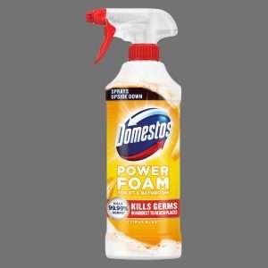 Domestos Citrus Blast Power Foam 450ml
