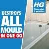 HG Bathroom Mould Spray 500ml HG Bathroom Mould Spray 500ml