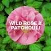 Air Wick Plug In Diffuser Refill Wild Rose & Patchouli 19ml