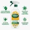 Zoflora Springtime Disinfectant Spray 800ml Zoflora Springtime Disinfectant Spray 800ml