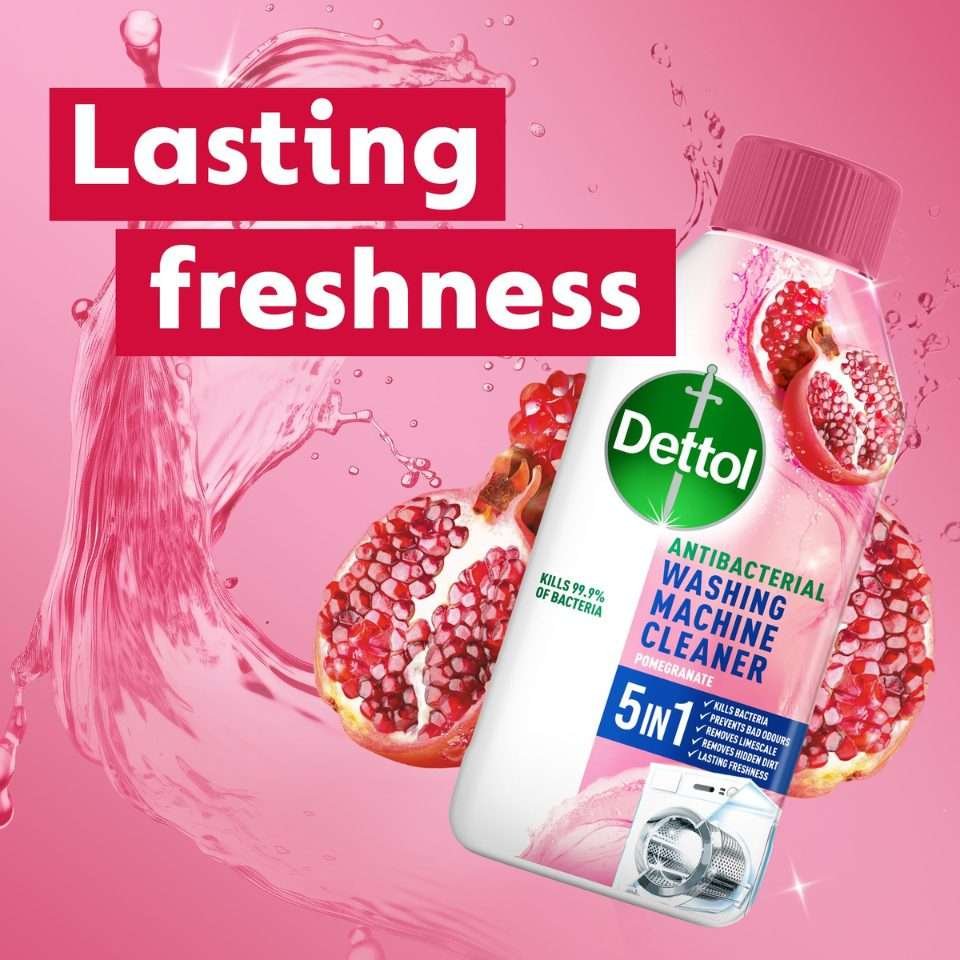 Dettol Pomegranate Washing Machine Cleaner 250ml