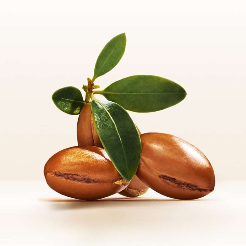 Pantene Pro-V Argan Infused Hair Oil 100ml