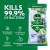 Dettol Bergamot Bliss Anti-Bacterial Wipes 110 Pack Dettol Bergamot Bliss Anti-Bacterial Wipes 110 Pack