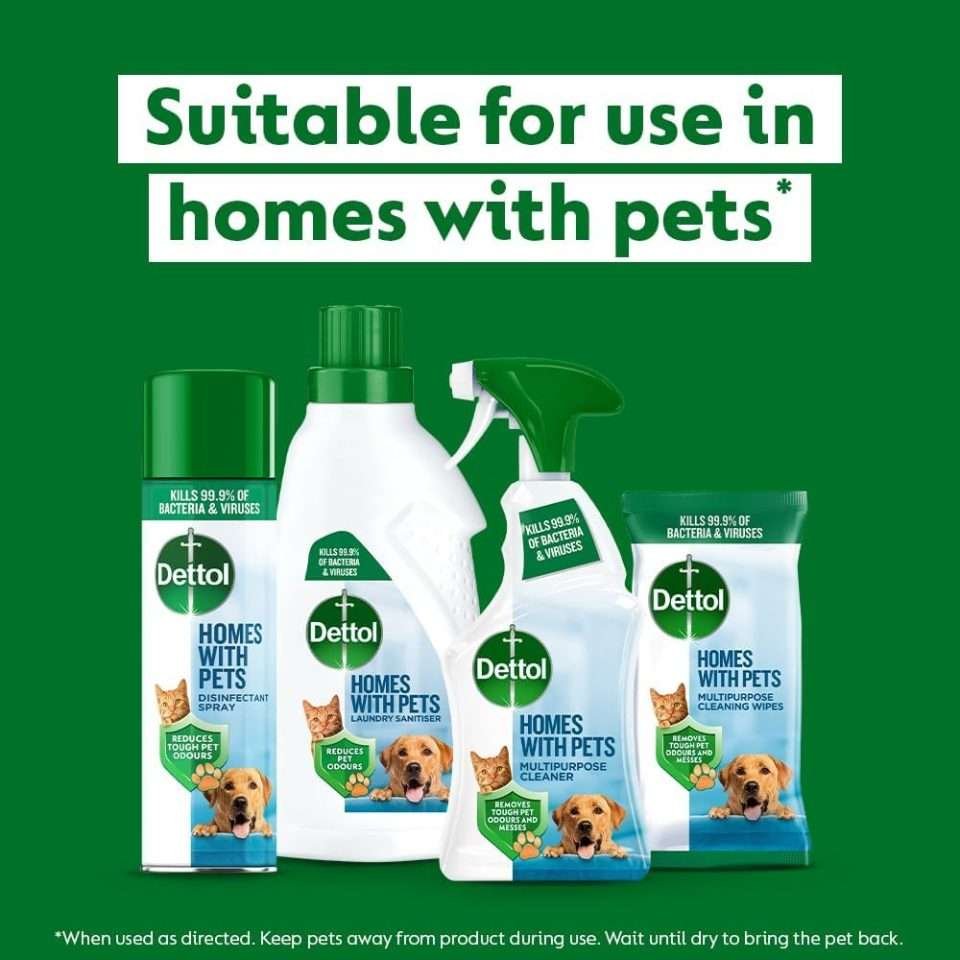 Dettol Homes With Pets Disinfectant Spray 300ml Dettol Homes With Pets Disinfectant Spray 300ml