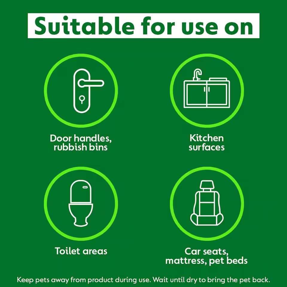 Dettol Homes With Pets Disinfectant Spray 300ml Dettol Homes With Pets Disinfectant Spray 300ml