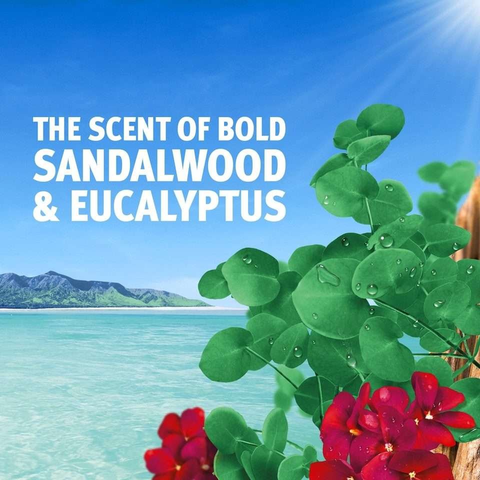 Bold All in 1 Pods Sandalwood & Eucalyptus 38 Washes