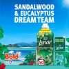 Bold All in 1 Pods Sandalwood & Eucalyptus 38 Washes