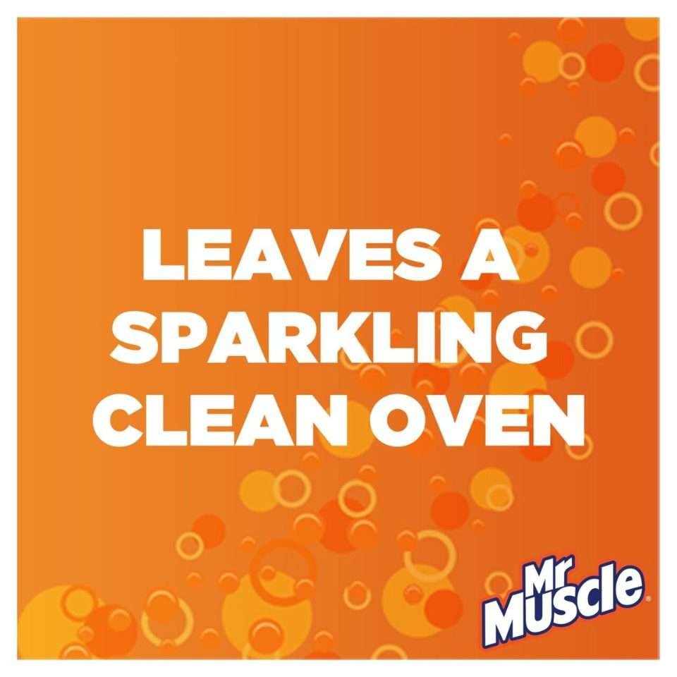 Mr Muscle Oven Cleaner 300ml