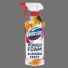 Domestos Blossom Burst Power Foam 450ml Domestos Blossom Burst Power Foam 450ml