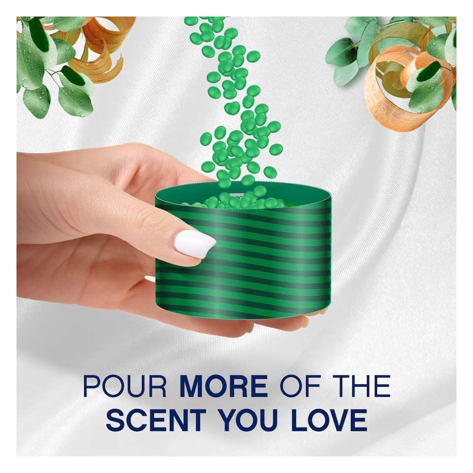 Lenor Sandalwood & Eucalyptus In Wash Scent Booster 176g