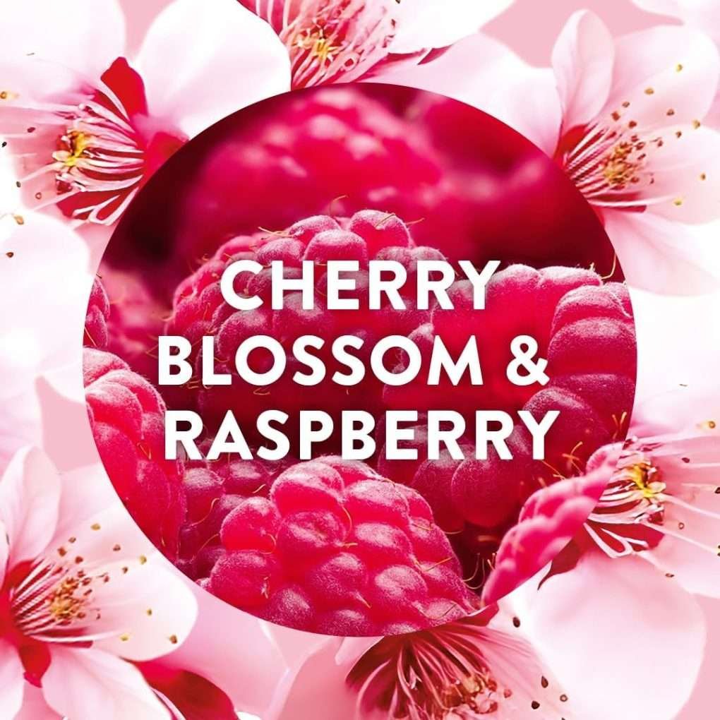 Air Wick Plug-In & Refill Kit Cherry Blossom & Raspberry 19ml